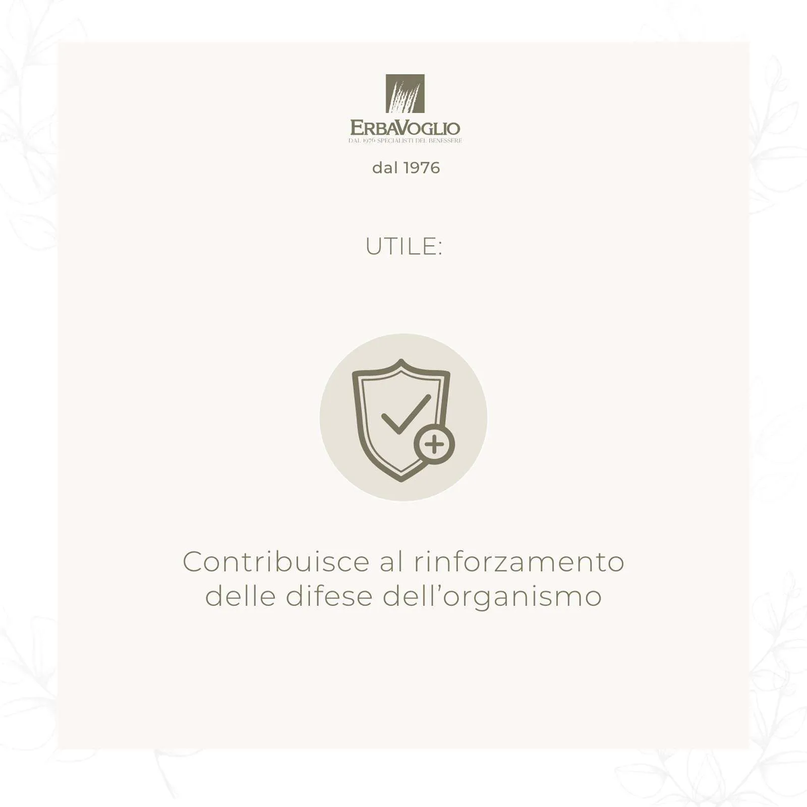 Capsule di Reishi Bio - immagine 2