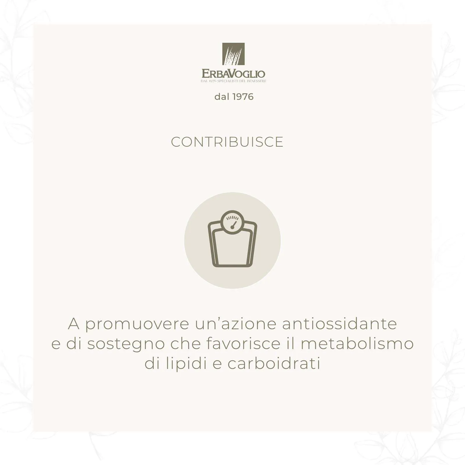 Capsule di Acai Bio - immagine 2