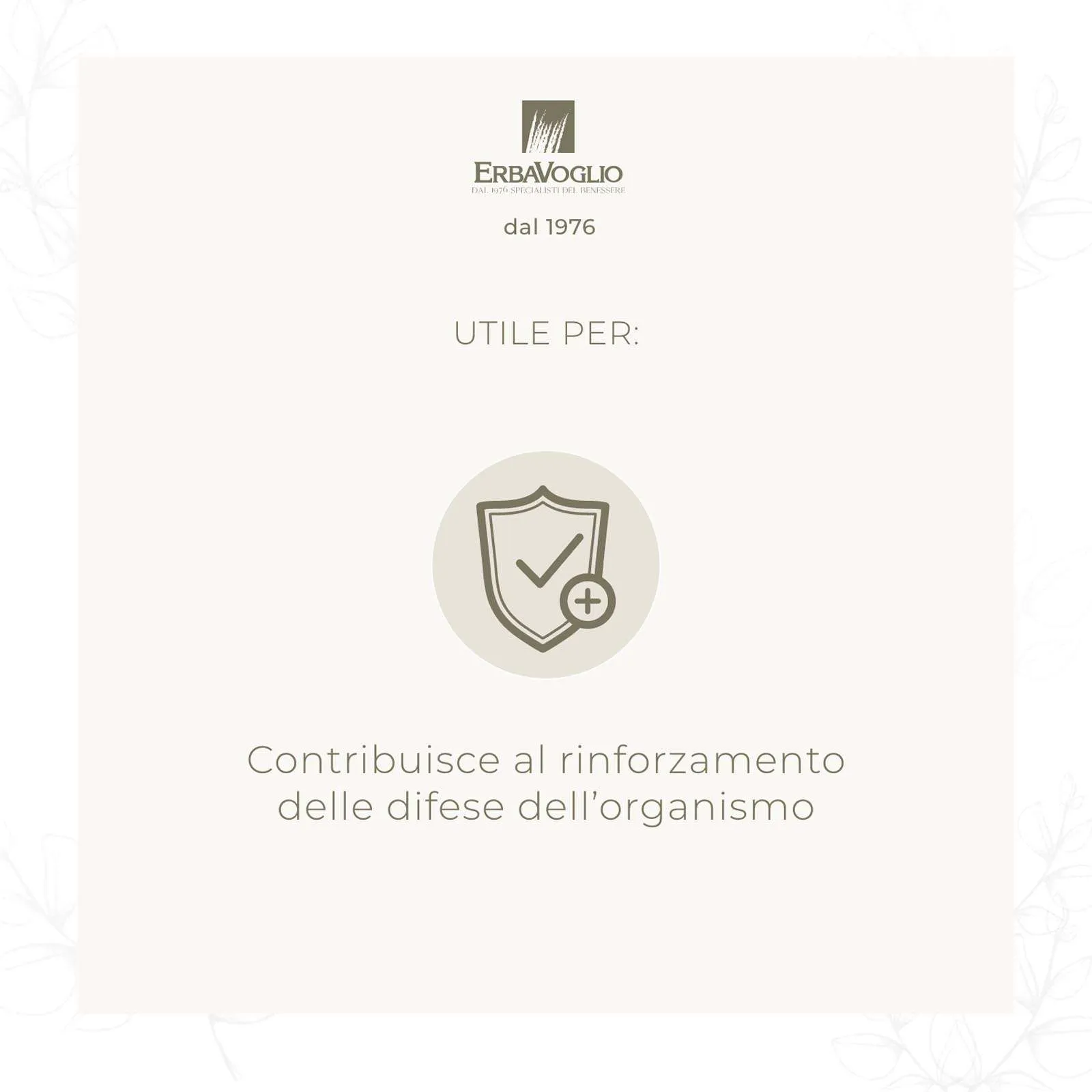 Capsule di Shiitaké Bio - immagine 2