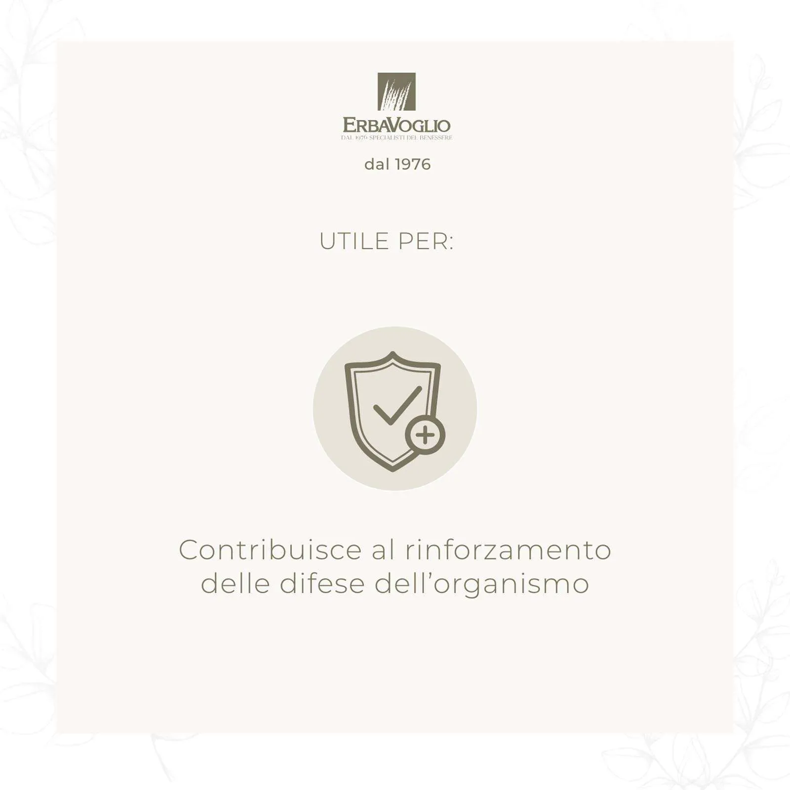 Capsule di Maitaké Bio - immagine 2