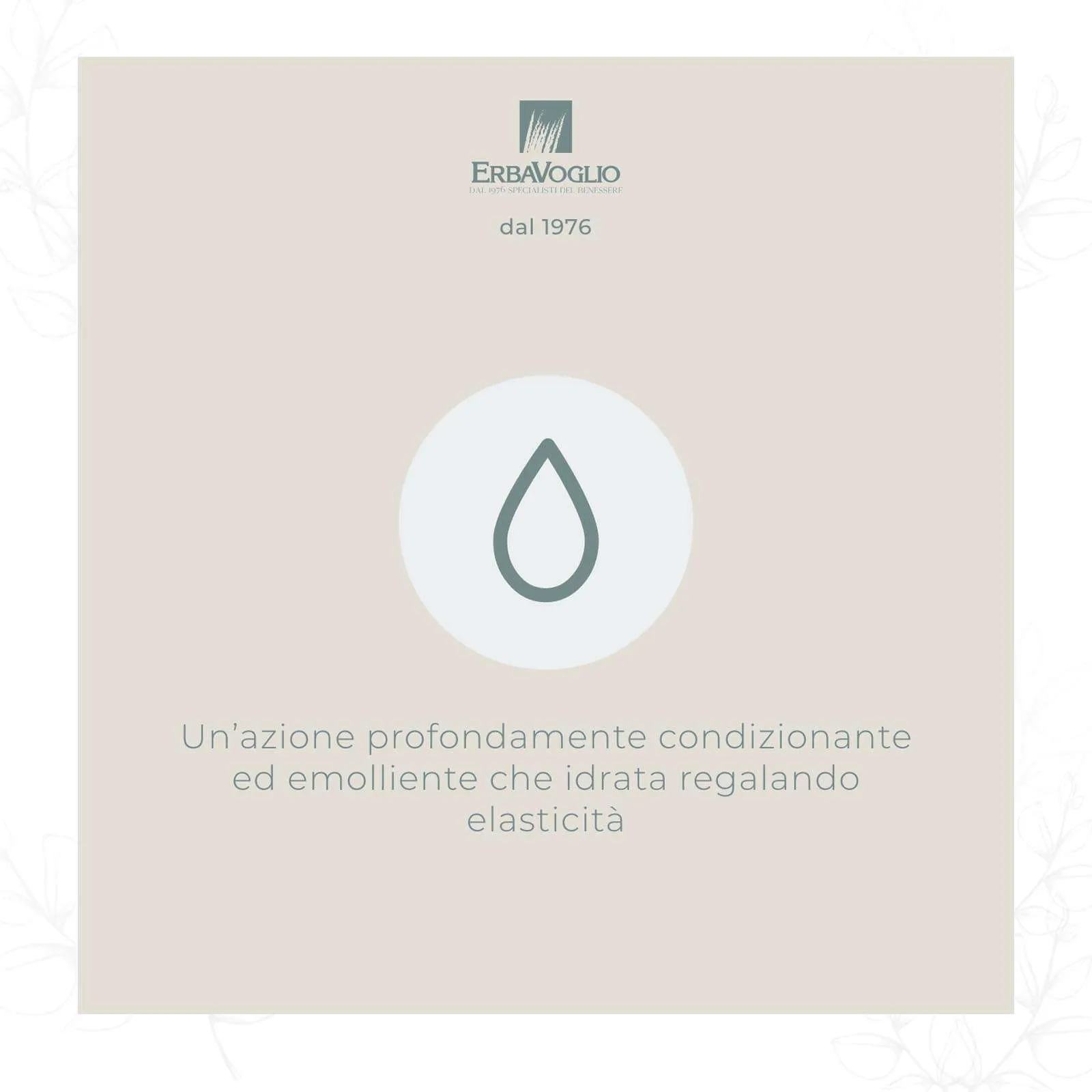 Olio di Jojoba Bio - immagine 3