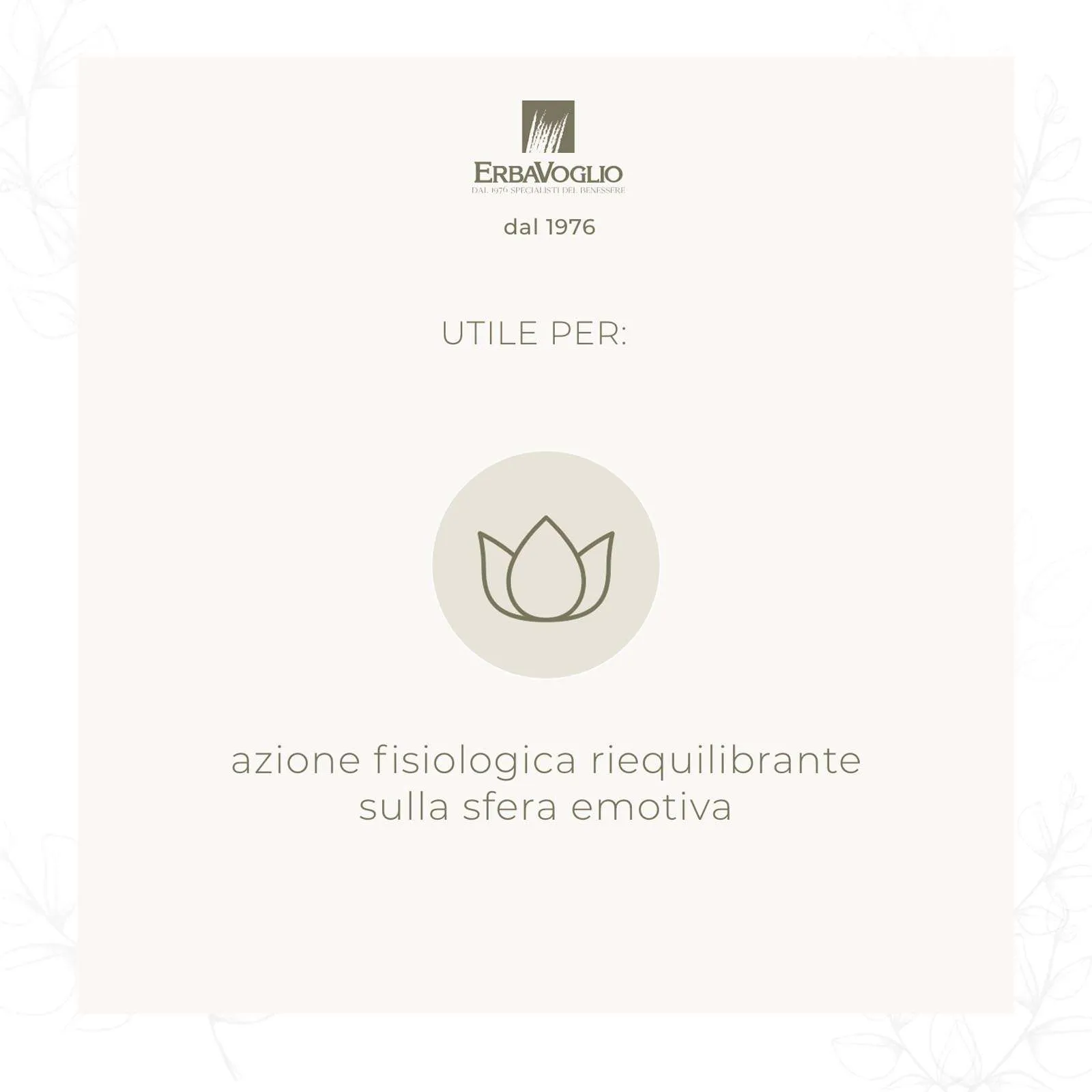 Capsule di Brahmi Bio - immagine 2