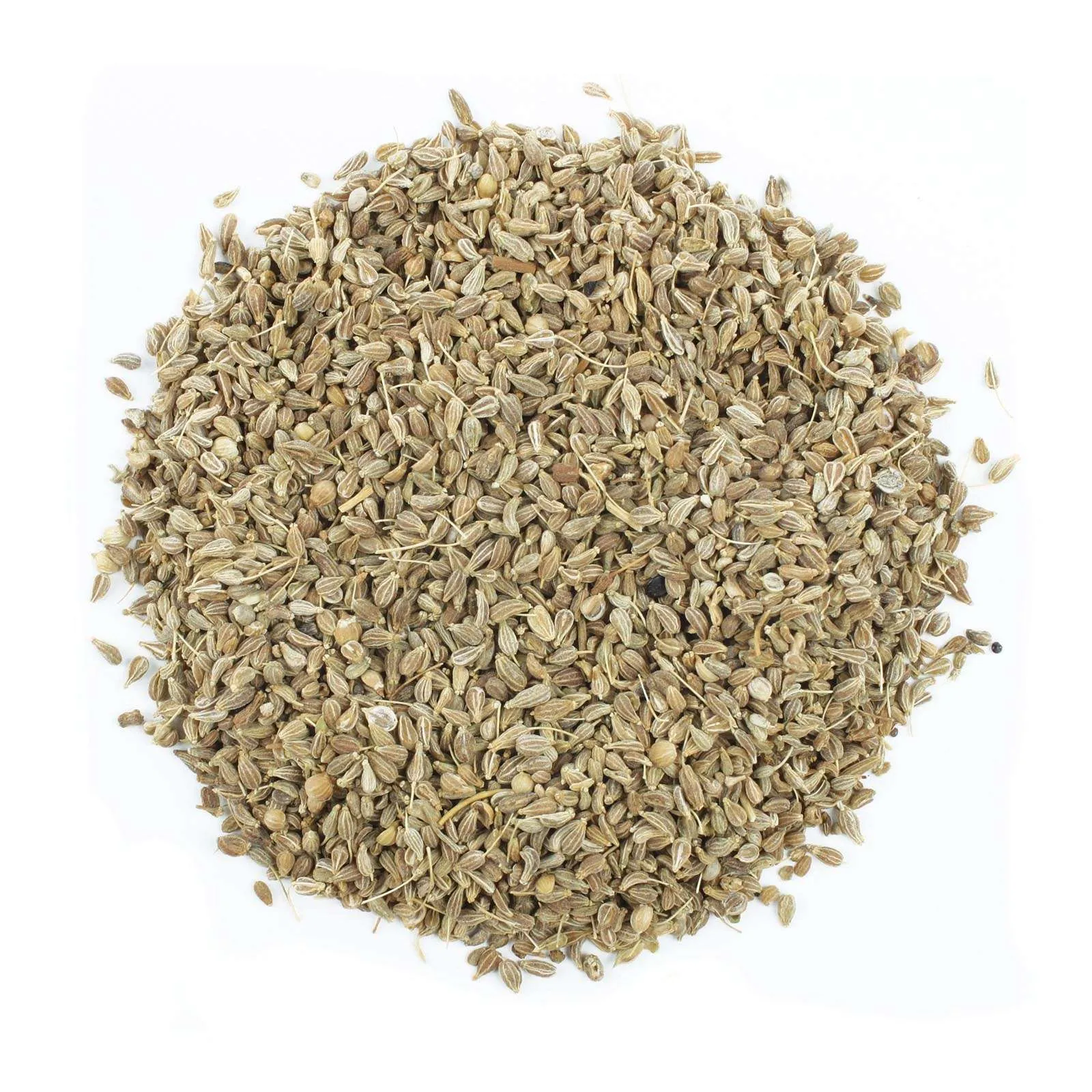 Semi di Anice Verde Bio (Omaggio) - immagine 3