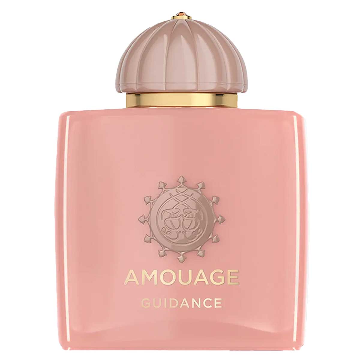 Amouage – Guidance (100ml) - immagine 2