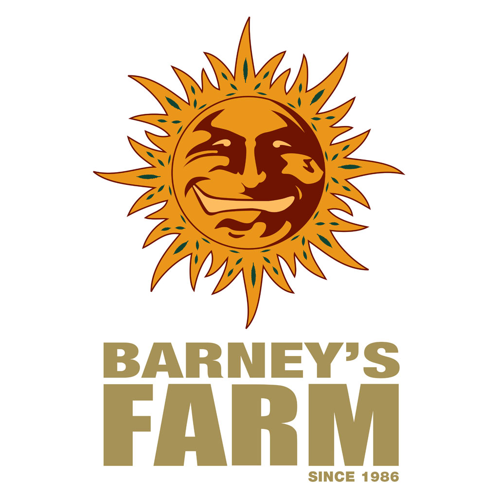 PINEAPPLE EXPRESS AUTO – Barney’s Farm