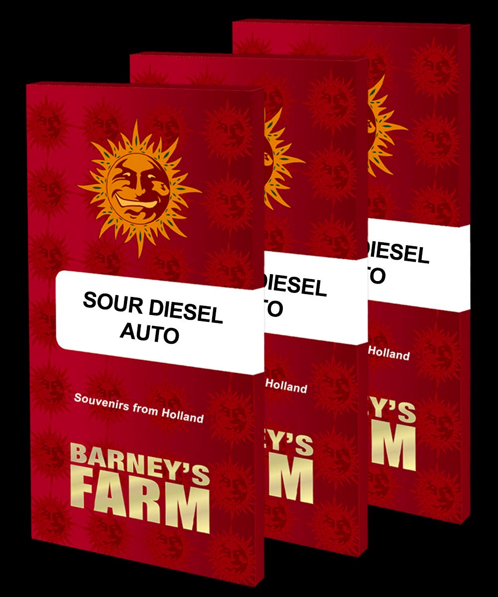 SOUR DIESEL AUTO – Barney’s Farm - immagine 3