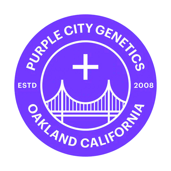 FORBIDDEN BLUEPRINT (FEM / 3 SEMI) – Purple City Genetics