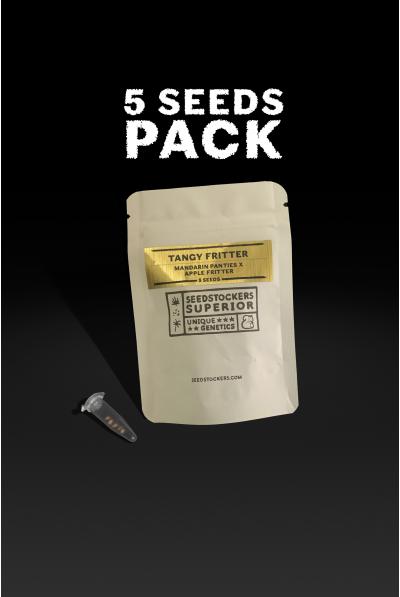 TANGY FRITTER FEM (5 SEMI) – Seedstockers (Superior) - immagine 3