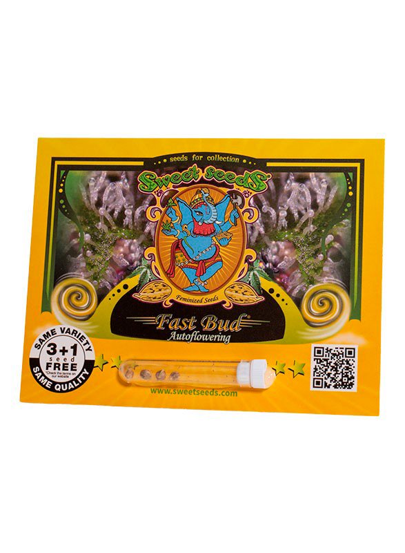 FAST BUD AUTO – Sweet Seeds