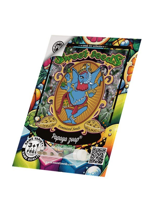 PAPAYA ZOAP F1 FAST VERSION – Sweet Seeds