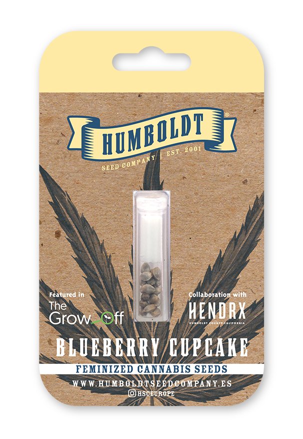 BLUEBERRY CUPCAKE (FEM) – Humboldt Seed Company - immagine 3