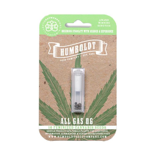 ALL GAS OG (ex ASPHALT PLANT) (FEM) – Humboldt Seed Company - immagine 5