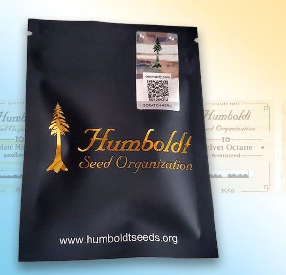 CHEMBOMB AUTO – Humboldt Seed Organization