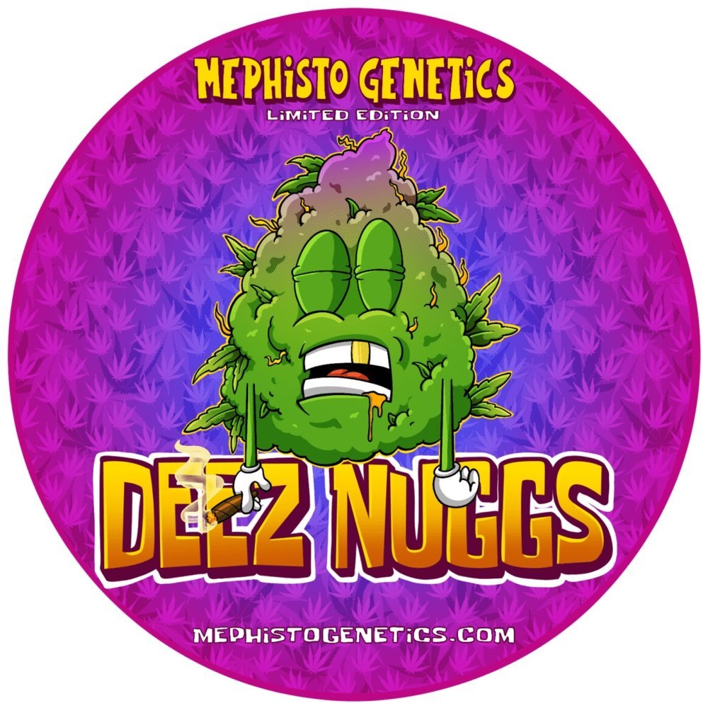 DEEZ NUGGS (AUTO / 3 SEMI) – Mephisto Genetics